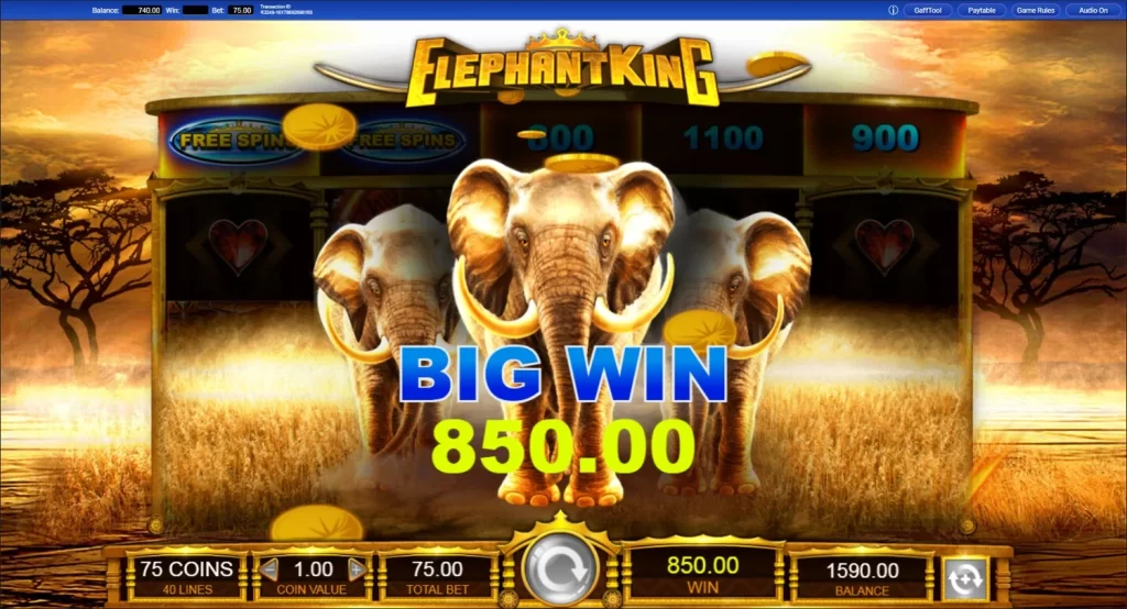 Elephant King big win